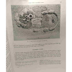 The iron age culture of latium - I/ classifcation and analysis...