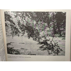 Histoire des environs de Bruxelles ou description historique des...