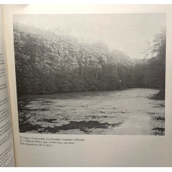 Histoire des environs de Bruxelles ou description historique des...