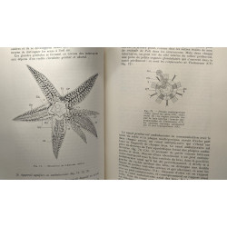 Guide des travaux pratiques de zoologie - faits en candidature en...