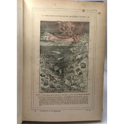 La création naturelle et les être vivants - histoire générale du...