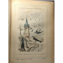 La création naturelle et les être vivants - histoire générale du...
