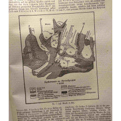 Paulys real-encyclopädie der classischen altertumswissenschaft -...