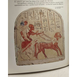 L'Egypte des pharaons au Musée du Caire + Des dieux des tombeaux...