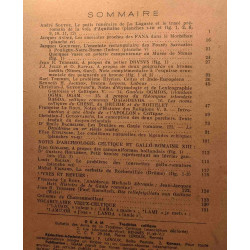 OGAM tradition celtique - histoire langue archéologie religion...