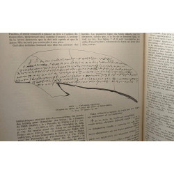 Dictionnaire d'Archéologie chrétienne et de liturgie - TOME...