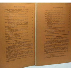 OGAM - Tradition Celtique - Histoire-Langue-Archéologie- Religion...
