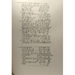 Royal inscriptions and fragments from Nippur and Babylon / The...