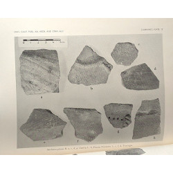 A ceramic sequence for the piura and chira coast North Peru