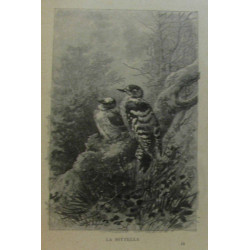 Nos oiseaux - cent dix compositions de Giacomelli gravées sur bois...