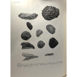 Lerna a preclassical site in the argolid - results of excavations...