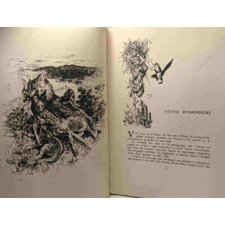 Contes de ma vie sauvage - chasses et rencontres