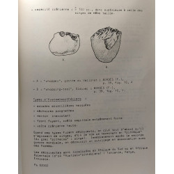 Histoire de l'art et archéologie - Préhistoire: Notes prises au...