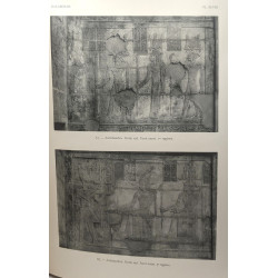 Les temples immergés de la Nubie - Le temple de Kalabchah -...