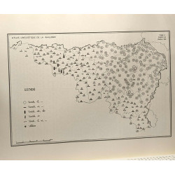 Atlas linguistique de la Wallonie - tableau géographique des...