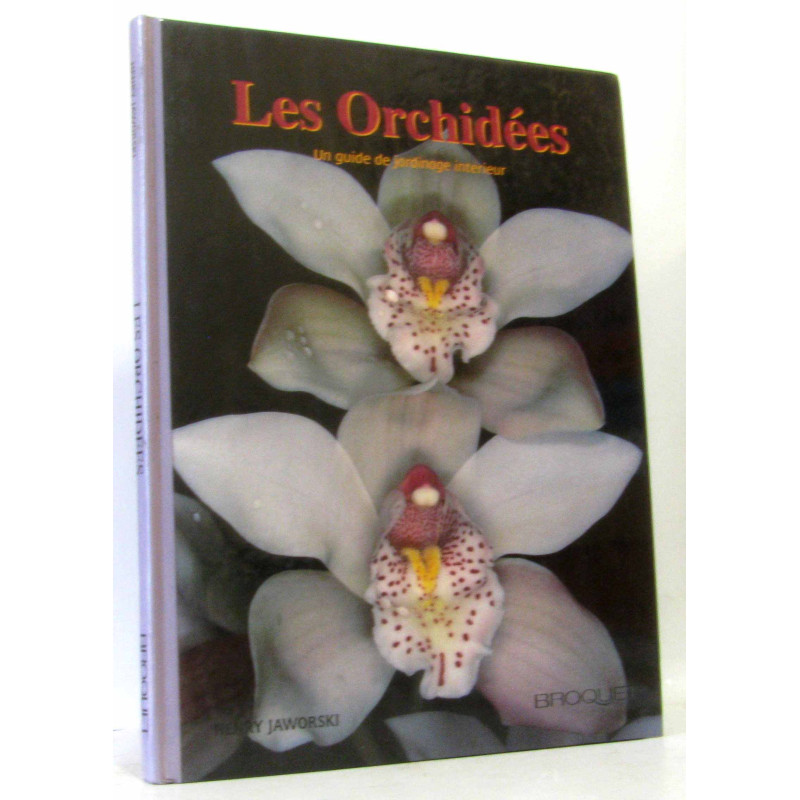 Les orchidées : Un guide de jardinage intérieur