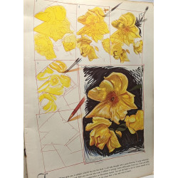 Painting on location + How to draw and paint flowers (new edition)...
