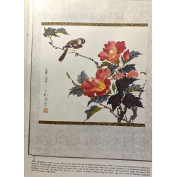 Painting on location + How to draw and paint flowers (new edition)...