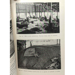 Cacao - onze koloniale landbouw - XI