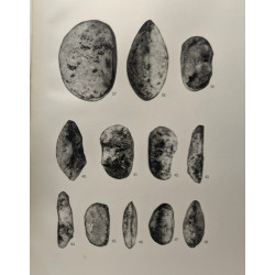 Ostracodes du Bassin du Congo II. Crétacé / Annales du musée royal...