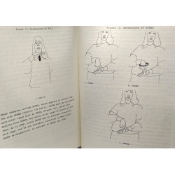 Current issues in linguistic theory VOLUME 29 The ubiquity of...