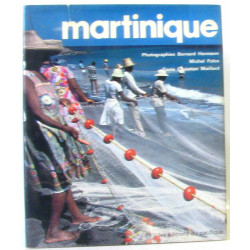Lots de 5 livres éditions du pacifique-hachette guides bleus: La...