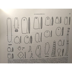 Die Horgener kultur / monographien zur ur- und frühgeschichte der...