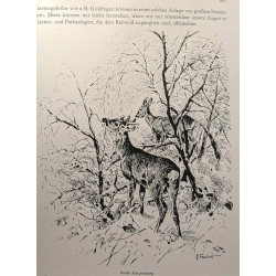 Die jagdklassiker 5 Pfund: Die Hege + Das deutsche waidwerk + Das...