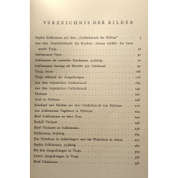 Schliemann - geschichte eines goldsuchers