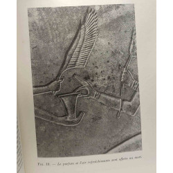 Les chants d'amour de l'Egypte ancienne - vingt quatre...
