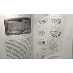 Iranica Antiqua - VOLUMEN XLI - 2006