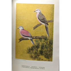 Le monde des oiseaux - Revue mensuelle - 11 numéros: 1964...