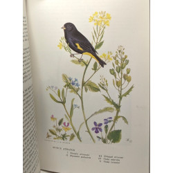 Le monde des oiseaux - Revue mensuelle - 11 numéros: 1964...