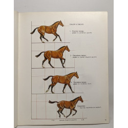 Manuel officiel de préparation aux examens fédéraux d'équitation...