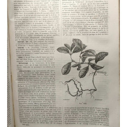 Dictionnaire de médecine de chirurgie de pharmacie de l'art...