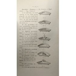 Vak- et Kunstwoorden n°4 Ambacht van den Metselaar (livre...