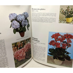 Les plantes d'appartement (1971) + L'art Floral dans votre maison...