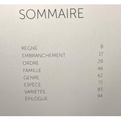 Mélodies végétales systématique poétique