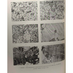 Sciences de la Terre - N°1-2 + N°3 - TOME XVII - annales de...