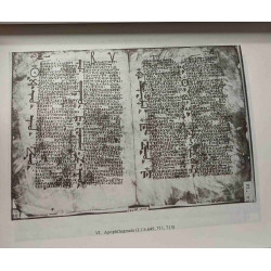 Coptic literary texts of the Pushkin state fine arts museum in...