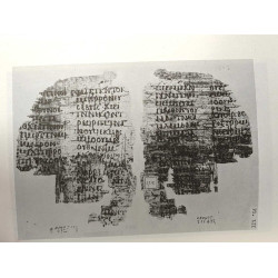 Coptic literary texts of the Pushkin state fine arts museum in...