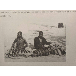 Les instruments de musique (Shaba Zaïre)