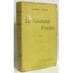 Le goéland perdu