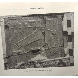 Archéologie méditerranéenne en Pologne après la seconde guerre...