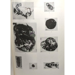 Nouvelles acquisitions sur le système de la Bushimay (république...