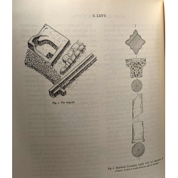 The ancient synagogue of Ma'on (Nirim) - reprinted from bulletin...