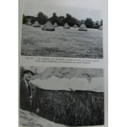 L'alimentation du bétail et les maladies de la nutrition...