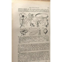 Cours de botanique et de biologie végétale - TOME II - 2e éd....