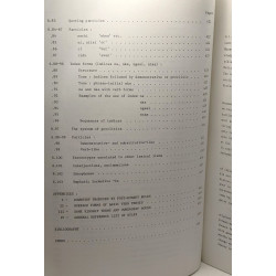 A shi grammar - surgace structures and generative phonology of a...