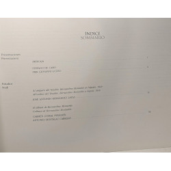 "Album de Pompeya" de Bernardino Montañés 1849 - Museo...